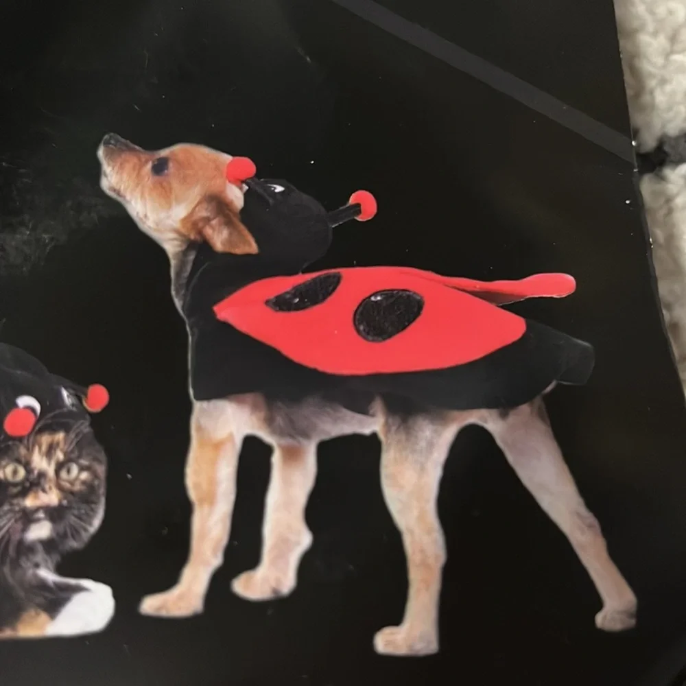 NWT Cat or dog sequin ladybug costume